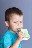 Reizendes Kindertrinkender Saft vom Stroh Netter kleiner Junge, der Juice Box trinkt stockbild Reizendes Kindertrinkender Saft vom Stroh Netter kleiner Junge, der Juice Box trinkt stockbild