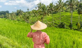 Relaxed fashionable caucasian woman wearing red asian style kimono and traditional asian paddy hat looking at beautiful royalty free stock photo Relaxed fashionable caucasian woman wearing red asian style kimono and traditional asian paddy hat looking at beautiful royalty free stock photo