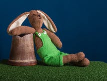 Relaxed moment of dreamy rabbit. royalty free stock photography Relaxed moment of dreamy rabbit. royalty free stock photography