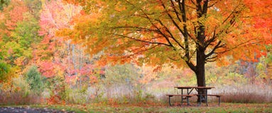 Image result for autumn relaxing