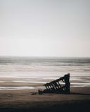 Relitto della nave di Peter Iredale fotografia stock Relitto della nave di Peter Iredale fotografia stock