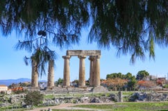 Remaining columns of the Temple of Apollo in ancient Corinth with mountains and village in background and view framed by pine tree royalty free stock photo Remaining columns of the Temple of Apollo in ancient Corinth with mountains and village in background and view framed by pine tree royalty free stock photo