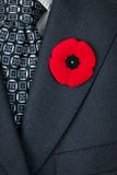 Remembrance Day poppy on suit royalty free stock images Remembrance Day poppy on suit royalty free stock images