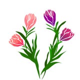 Reng?ringsduk F?rgrik tulpanupps?ttning f?r realistisk vektor bakgrund blommar fj?dern buketten isolerade tulpan vektor illustrationer Reng?ringsduk F?rgrik tulpanupps?ttning f?r realistisk vektor bakgrund blommar fj?dern buketten isolerade tulpan vektor illustrationer