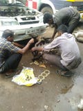 Repairing car royalty free stock image Repairing car royalty free stock image