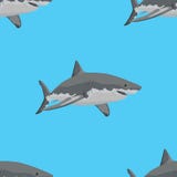 Requins blancs grands Configuration sans joint Illustration de vecteur illustration libre de droits Requins blancs grands Configuration sans joint Illustration de vecteur illustration libre de droits