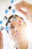 Researcher Examining Molecular Structure In Laboratory royalty free stock photography Researcher Examining Molecular Structure In Laboratory royalty free stock photography