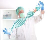 Researcher holding up a DNA strand in the lab stock photography Researcher holding up a DNA strand in the lab stock photography