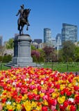 Ressort dans les jardins publics de Boston photos stock Ressort dans les jardins publics de Boston photos stock