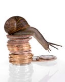 Retarde finanças foto de stock royalty free Retarde finanças foto de stock royalty free