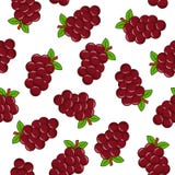 Reticolo senza giunte con l'uva illustrazione vettoriale Reticolo senza giunte con l'uva illustrazione vettoriale