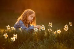 Retrato al aire libre de la ni?a cerca de las flores del narciso en la puesta del sol fotografía de archivo libre de regalías Retrato al aire libre de la ni?a cerca de las flores del narciso en la puesta del sol fotografía de archivo libre de regalías