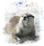 Retrato de la nutria de la acuarela libre illustration Retrato de la nutria de la acuarela libre illustration
