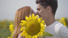 Retrato de los pares felices que se besan mientras que cubre sus caras con el girasol grande en el campo del girasol Los j?venes almacen de video Retrato de los pares felices que se besan mientras que cubre sus caras con el girasol grande en el campo del girasol Los j?venes almacen de video