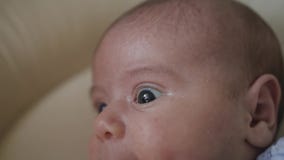 Retrato de um bebê recém-nascido que encontra-se na ucha em um quarto Feche acima, a cara do bebê do bebê de dois meses vídeos de arquivo Retrato de um bebê recém-nascido que encontra-se na ucha em um quarto Feche acima, a cara do bebê do bebê de dois meses vídeos de arquivo
