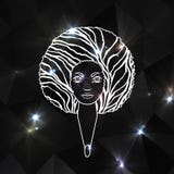Retrato de uma mulher com cabelo exuberante ao estilo de um africano Vetor Fundo brilhante ilustração stock Retrato de uma mulher com cabelo exuberante ao estilo de um africano Vetor Fundo brilhante ilustração stock