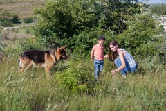 Retrato de una madre con un hijo y un perro jovenes en el bosque foto de archivo libre de regalías Retrato de una madre con un hijo y un perro jovenes en el bosque foto de archivo libre de regalías