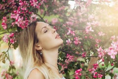 Retrato de una muchacha hermosa entre follaje y flores de la primavera foto de archivo libre de regalías Retrato de una muchacha hermosa entre follaje y flores de la primavera foto de archivo libre de regalías