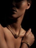 Retrato de una mujer elegante vestida elegante y hermosa de los jóvenes con la joyería de lujo hecha de los metales preciosos en imagen de archivo libre de regalías Retrato de una mujer elegante vestida elegante y hermosa de los jóvenes con la joyería de lujo hecha de los metales preciosos en imagen de archivo libre de regalías