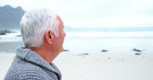 Retrato del hombre mayor que se coloca en la playa almacen de video Retrato del hombre mayor que se coloca en la playa almacen de video