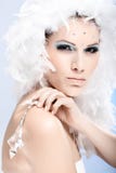 Retrato do encanto da beleza do inverno imagens de stock Retrato do encanto da beleza do inverno imagens de stock