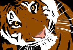 Retrato hermoso grande del primer del tigre stock de ilustración Retrato hermoso grande del primer del tigre stock de ilustración