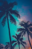 Retro Sunset Hawaii Palm Trees Royalty Free Stock Photos Retro Sunset Hawaii Palm Trees Royalty Free Stock Photos