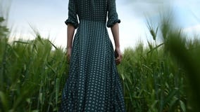 Retrovisione di angolo basso Una giovane ragazza bionda in un vestito verde sciolto senza fretta cammina lungo un campo di grano video d archivio Retrovisione di angolo basso Una giovane ragazza bionda in un vestito verde sciolto senza fretta cammina lungo un campo di grano video d archivio