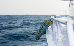 Rettungsring auf der Plattform des Kreuzschiffs lizenzfreie stockbilder Rettungsring auf der Plattform des Kreuzschiffs lizenzfreie stockbilder