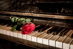 Rewolucjonistki r??a i pianino zdjęcia royalty free Rewolucjonistki r??a i pianino zdjęcia royalty free