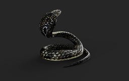 Rey Cobra Snake con la trayectoria de recortes libre illustration Rey Cobra Snake con la trayectoria de recortes libre illustration