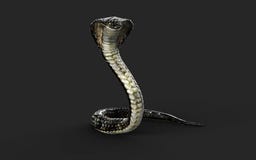 Rey Cobra Snake con la trayectoria de recortes stock de ilustración Rey Cobra Snake con la trayectoria de recortes stock de ilustración