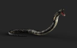 Rey Cobra Snake con la trayectoria de recortes libre illustration Rey Cobra Snake con la trayectoria de recortes libre illustration