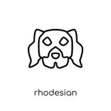 Rhodesian Ridgeback dog icon. Trendy modern flat linear vector R vector illustration Rhodesian Ridgeback dog icon. Trendy modern flat linear vector R vector illustration