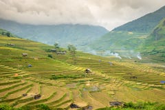 Rice fields at Lim Mong, Tu Le, Mu Cang Chai royalty free stock photo Rice fields at Lim Mong, Tu Le, Mu Cang Chai royalty free stock photo