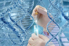 Ricerca del DNA con un campione fotografia stock libera da diritti Ricerca del DNA con un campione fotografia stock libera da diritti