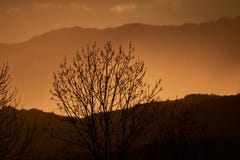 Rideau en pluie au coucher du soleil avec des arbres dans l'avant image libre de droits Rideau en pluie au coucher du soleil avec des arbres dans l'avant image libre de droits