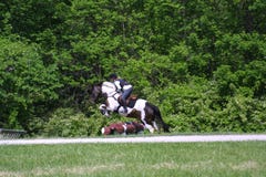 Hunters Pace Queeny Park May 2018 stock image Hunters Pace Queeny Park May 2018 stock image