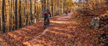 Riding bicycle through country roads in autumn Royalty Free Stock Photography Riding bicycle through country roads in autumn Royalty Free Stock Photography