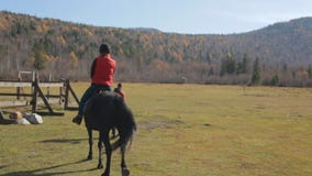 Ridninginstruktören leder hästen på en koppel med det kvinnliga jockeysammanträdet i sadeln arkivfilmer Ridninginstruktören leder hästen på en koppel med det kvinnliga jockeysammanträdet i sadeln arkivfilmer
