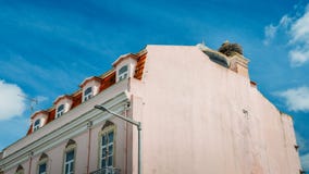 Riesiges Nest der Familie des weißen Storchs mit kleinem Baby auf ein Dach in Algarve, Portugal lizenzfreie stockfotos Riesiges Nest der Familie des weißen Storchs mit kleinem Baby auf ein Dach in Algarve, Portugal lizenzfreie stockfotos