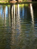 Riflessione dell'acqua degli alberi fotografia stock libera da diritti Riflessione dell'acqua degli alberi fotografia stock libera da diritti