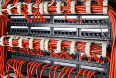 Rijen van netwerkkabels met router en schakelaarhub worden verbonden die stock foto Rijen van netwerkkabels met router en schakelaarhub worden verbonden die stock foto