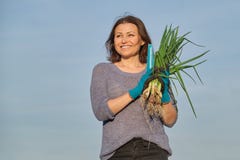 Rijpe vrouwenlandbouwer die door de tuin met groene verse bieslookui lopen stock afbeelding Rijpe vrouwenlandbouwer die door de tuin met groene verse bieslookui lopen stock afbeelding