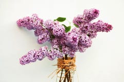 Rikt blomstra syringaen i vas royaltyfria foton Rikt blomstra syringaen i vas royaltyfria foton