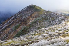 The rime landscape of the high plain stock photo The rime landscape of the high plain stock photo