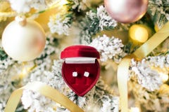 Ring The Bells, It's Christmas - Holiday Gift For Her royalty free stock image Ring The Bells, It's Christmas - Holiday Gift For Her royalty free stock image