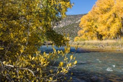 Rio-Grande стоковое изображение Rio-Grande стоковое изображение