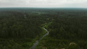 Rio na floresta Rio na floresta