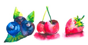 Ripe berries on the table. Blue bilberries, red cherries and ripe strawberries vector illustration Ripe berries on the table. Blue bilberries, red cherries and ripe strawberries vector illustration